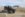73EB1A82-BD68-433B-9C53-ABE8C2E1FD91.jpeg