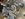 481E0DE3-50FF-4111-B220-30E4176C369A.jpeg