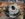 B9C5CE87-687B-4929-AE22-7823E87ADFEE.jpeg