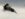 36401FCF-DBA0-4F42-BD3B-26EE0EC6951D.jpeg