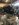 550C4C26-C126-4D8F-B162-7FCACEF4B436.jpeg