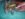 floats.jpg