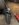 F111E16F-6CBA-4568-911E-90313383DDE6.jpeg