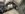 IMG_3624.jpeg