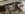 IMG_3622.jpeg