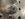 7B2BC68A-5A09-4519-A507-5C3C1AC6BE0B.jpeg