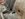 9E67B21E-9737-4E25-93CC-71EA6B96A4E4.jpeg