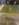 06A84D03-C423-43DA-947D-9C6FF87529B3.jpeg