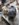 Resized_20200811_173755.jpeg
