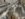 C1B4B0B7-CEA2-4833-A5D0-B1FE53928B7C.jpeg