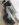 7D192C00-7846-4D52-B967-8217FC74A400.jpeg