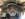DAA955CC-1D49-4F69-BC74-F39E78A31DC8.jpeg