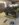 474CA3D6-1ACD-44C5-B137-EAA79EF7E7F1.jpeg