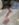 A8130F33-CF78-43D0-8D6E-D887E3369AC9.jpeg