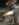 526B7A08-5CF3-42F0-AFE7-52CA06DEA64F.jpeg