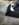 28249AF9-6964-41F5-BB1F-5E00679E6A20.jpeg