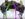 610AE347-852B-4A57-87B2-A8348CA0AC88.jpeg