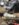 09780079-9466-4229-AE93-AC9D5B566C24.jpeg
