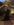 AA70D472-8578-49CB-9BF8-09D8854A6B9D.jpeg