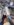 623D035C-F8CE-4216-9BA5-063CE7E31BDF.jpeg