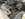 74E5117C-5628-42E1-8E7B-FF3C237EE2B7.jpeg