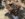 FC89761E-0EC8-4F88-A728-199D1CDAF1B7.jpeg