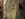 E8A27A45-2197-4E21-B3AD-4D8285D449CA.jpeg