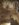 6875386C-4B86-4CBA-8DA2-44DA46EE7D38.jpeg