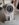 Screenshot_20201027-202634_Facebook.jpg