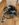 1BBA2920-A5D6-4FDD-A3D4-C6A828647122.jpeg