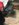A5387EDF-B647-4C90-9BD3-82BFFC021E71.jpeg
