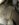 4BE74B7B-E597-4F74-95B6-6917747A21E8.jpeg