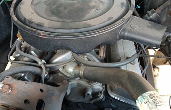 20201020_114538.jpg