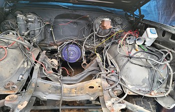 20201025_104813.jpg