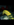 Coast Side.PNG