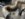 07592BCD-3F49-4A1F-B6E7-DBAC67AE6AB4.jpeg