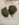 CB82CB56-5BA2-4E8E-B5EE-F12D8FB874CC.jpeg