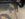 FD25F528-CB2E-4739-ADCF-D84653AD858D.jpeg