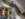 41F518FE-8863-4C66-B623-FBDAFAFF213E.jpeg