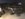 95FB98F5-17FB-438F-AAF8-4205B4D46009.jpeg