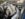 7B6B8670-D120-4AA2-9E88-6AFFEE3BEEDE.jpeg