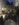 83755DCE-8EA5-4F87-8E02-CABEAC2DDA94.jpeg