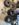 C4624487-D485-439C-8817-5D58DD7FEFAC.jpeg
