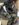 6AEE16A0-E447-45AC-B59B-F04F3A9EA90F.jpeg