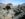 upload_2020-11-9_11-37-6.png