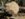BE78B005-A008-4339-A550-E044AEEC87C6.jpeg
