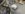 IMG_0113.jpeg