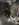 A0B208CE-280E-4E05-B170-69B7559FB0AE.jpeg
