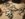 439CBE42-E2D8-42CB-85F3-9A86C2475B23.jpeg