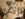 765946C9-4C83-4947-9AEC-585AFFBDBDCE.jpeg
